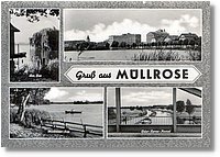 Muellrose_1966.jpg